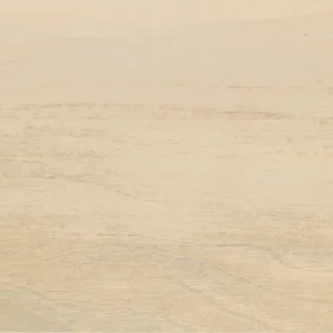 DUELA 18X60 DAL-TILE EMBLEM BEIGE 1.64 M2. 1A. EM01